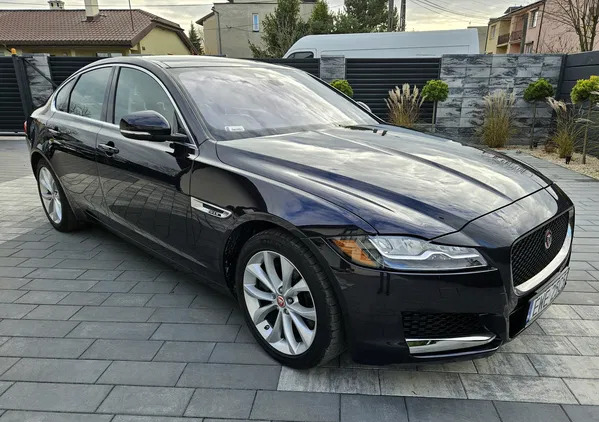 samochody osobowe Jaguar XF cena 82900 przebieg: 53500, rok produkcji 2016 z Łódź